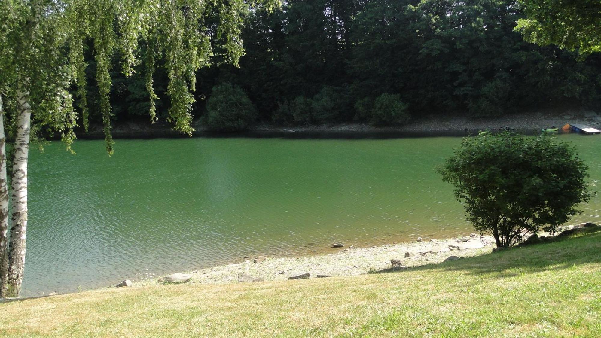Maison Lac De Pareloup -Les Pieds Dans L'Eau- Arvieu Eksteriør bilde